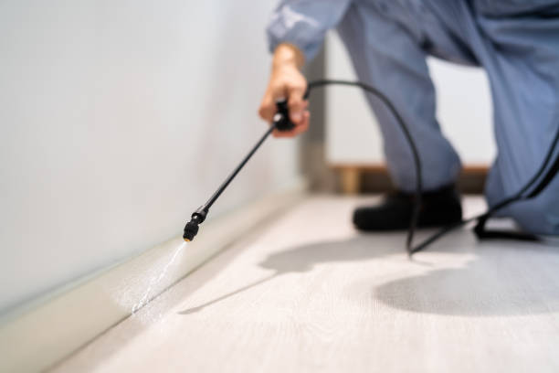 Bed Bug Pre-Treatment Preparation Assessment in Murrells Inlet