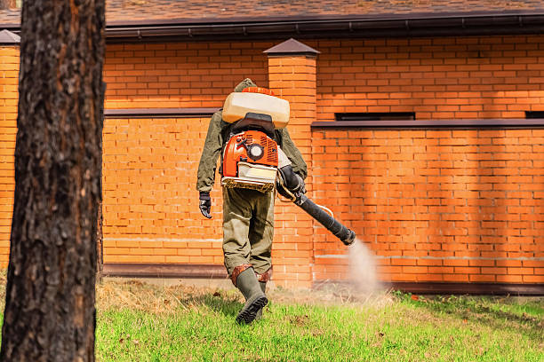 Bed Bug Clearance Verification and Documentation in Murrells Inlet